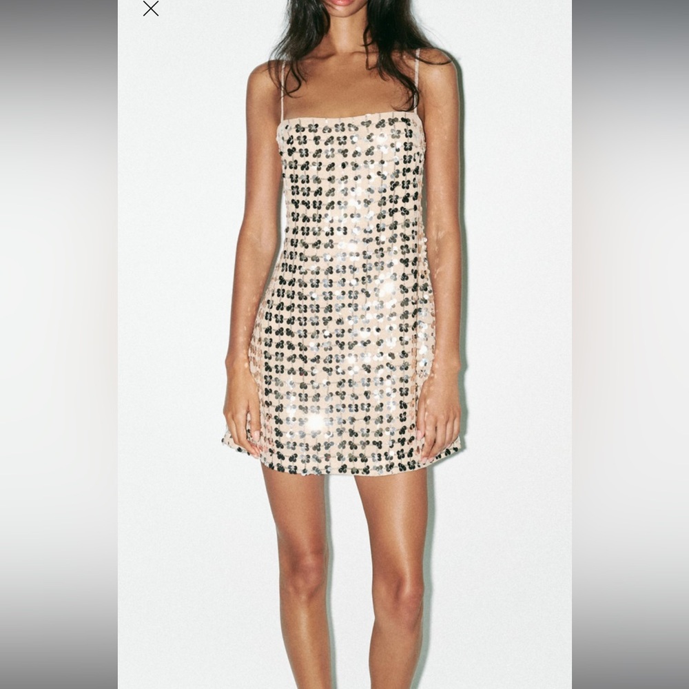 Zara Sequin Embellished Dress